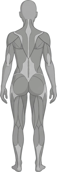 Vue dos